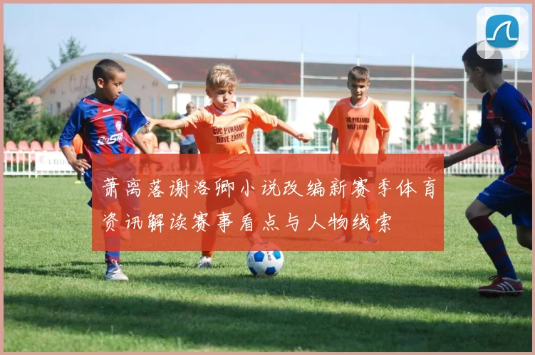 萧离落谢洛卿小说改编新赛季体育资讯解读赛事看点与人物线索