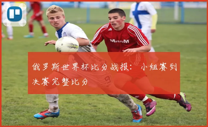 俄罗斯世界杯比分战报:小组赛到决赛完整比分